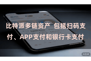 比特派多链资产 包括扫码支付、APP支付和银行卡支付